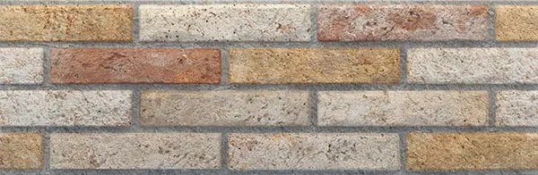 ASCOT MIX 20X60 0,84