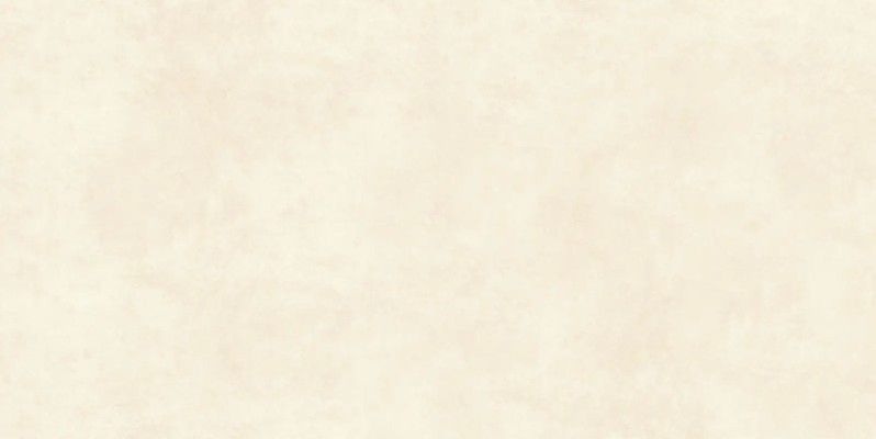 FASHION BEIGE 60,5X121 1,46