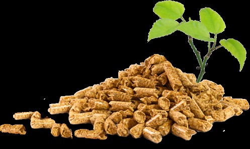 PELET DŽAK 15KG CROWN FOREST