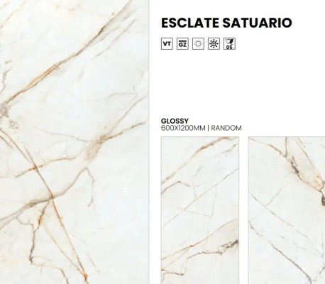 PG ESCLATE STATUAR.60X120 1,44